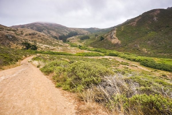 Comment choisir des bijoux à thème marin pour une croisière chic ?